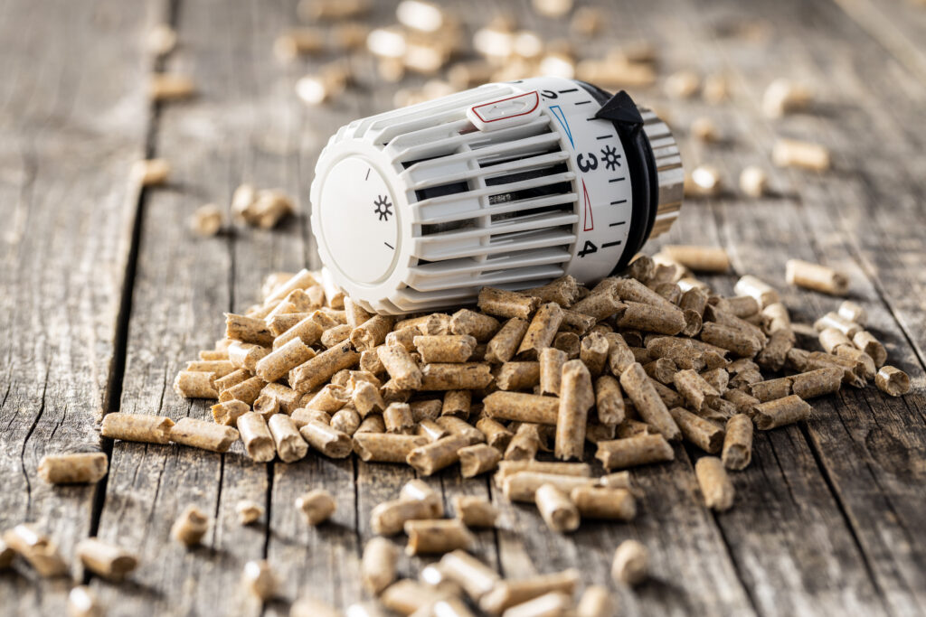 Biomassekonferenz CEBC 2026 in Graz.
Copyright: jirkaejc istock getty images plus